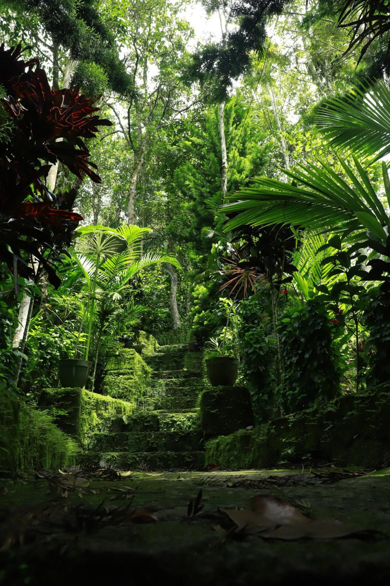 Nature Villa Anachal Esterno foto
