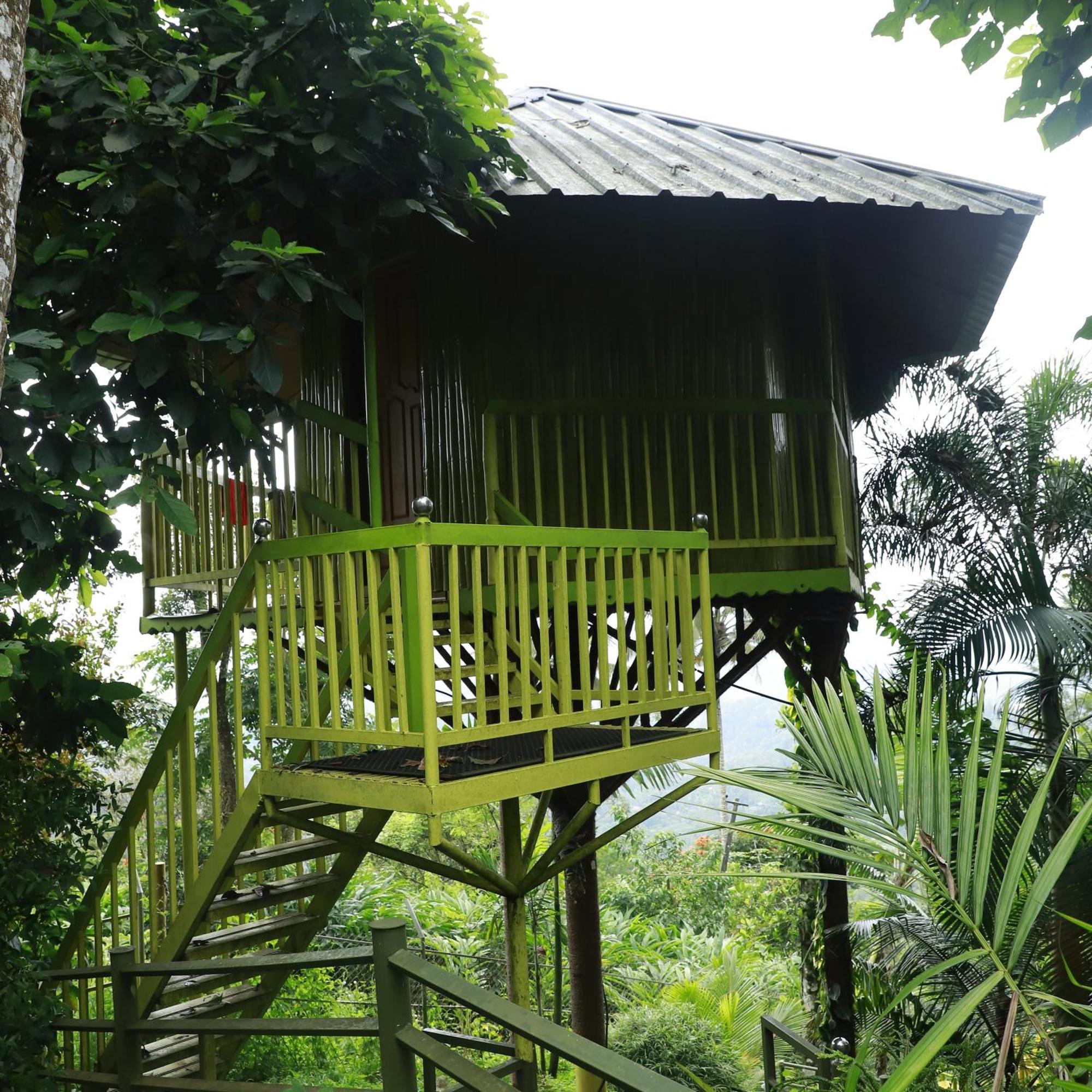 Nature Villa Anachal Esterno foto